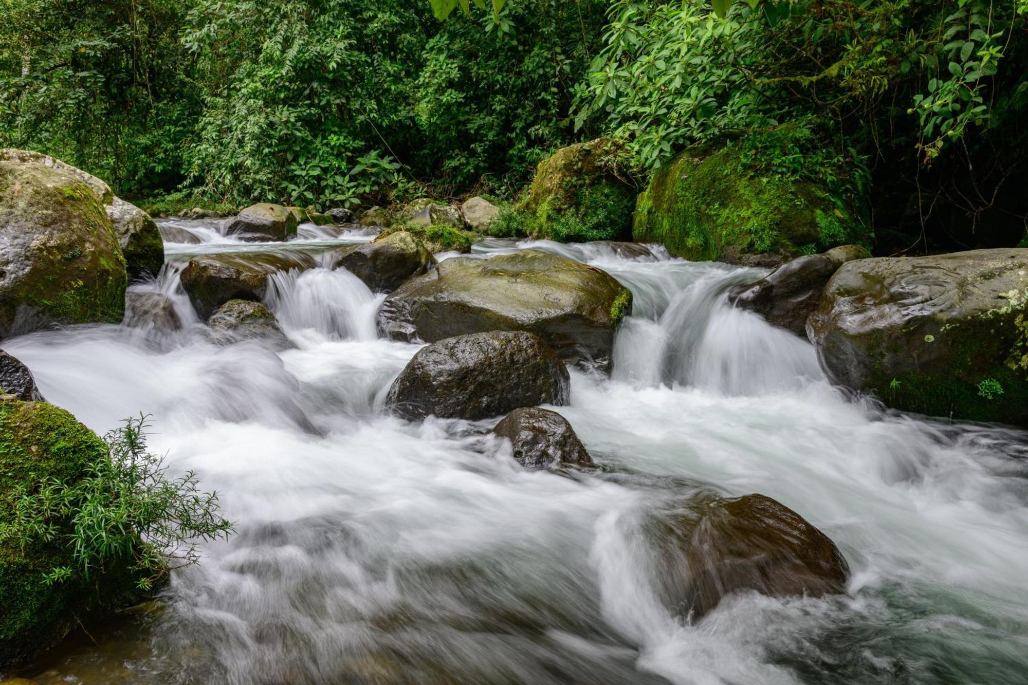 Hotel Rivel - Restaurant & Nature Retreat Turrialba Luaran gambar