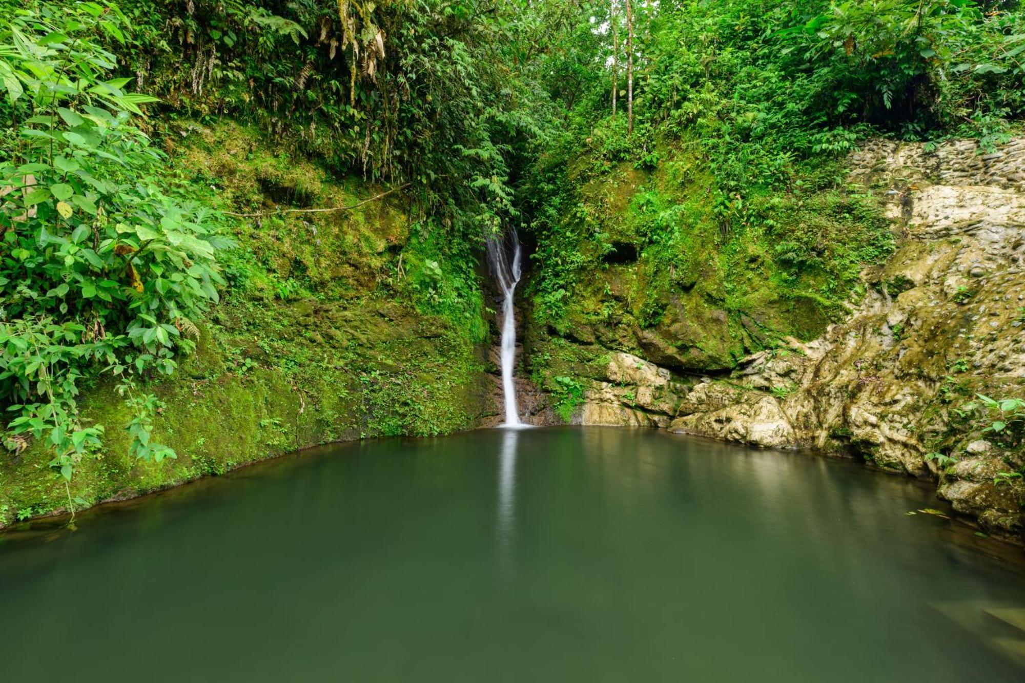 Hotel Rivel - Restaurant & Nature Retreat Turrialba Luaran gambar