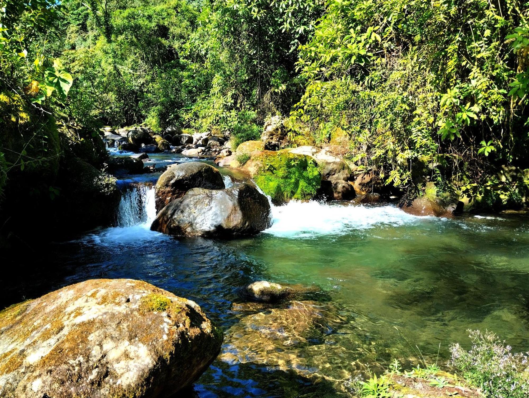 Hotel Rivel - Restaurant & Nature Retreat Turrialba Luaran gambar