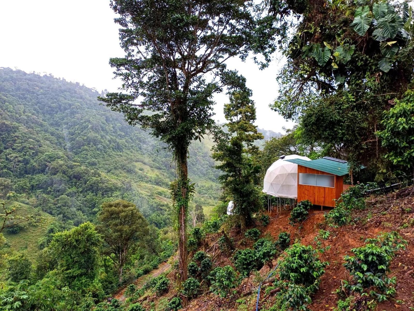 Hotel Rivel - Restaurant & Nature Retreat Turrialba Luaran gambar