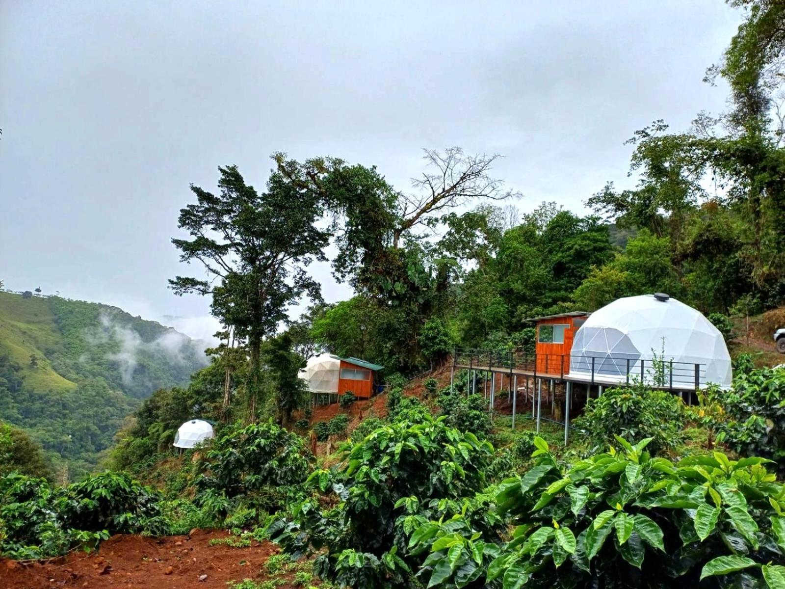 Hotel Rivel - Restaurant & Nature Retreat Turrialba Luaran gambar