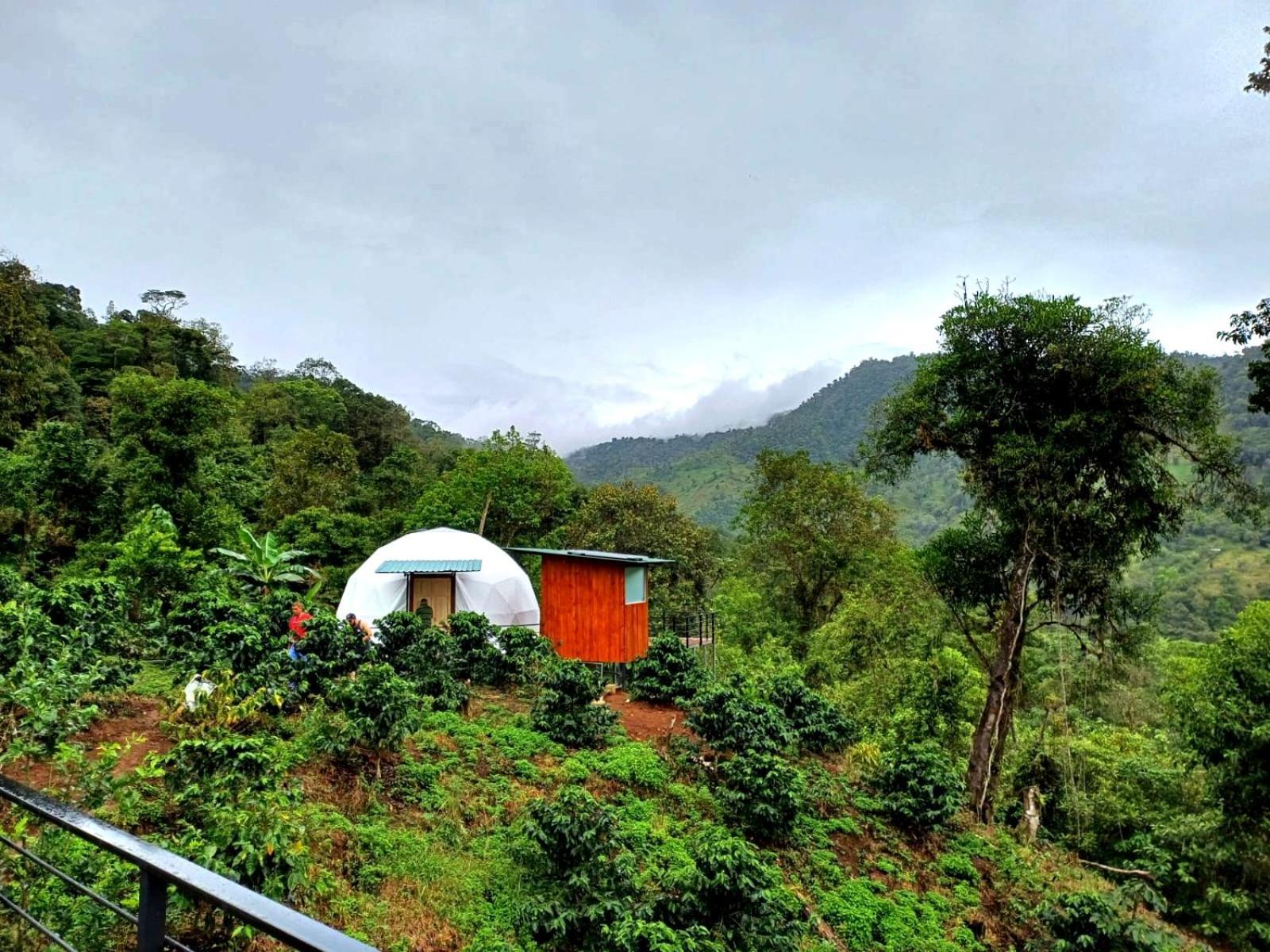 Hotel Rivel - Restaurant & Nature Retreat Turrialba Luaran gambar