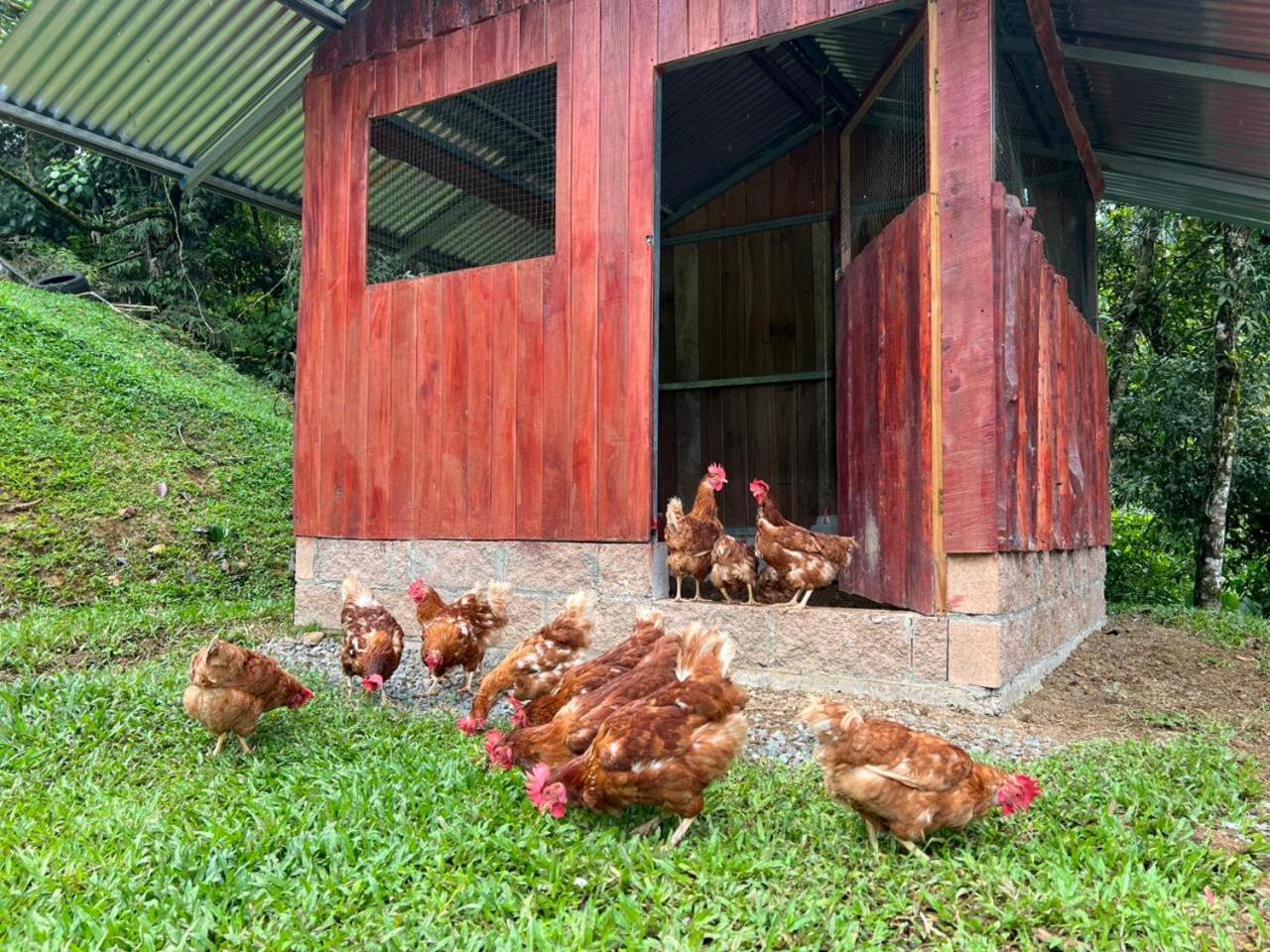 Hotel Rivel - Restaurant & Nature Retreat Turrialba Luaran gambar